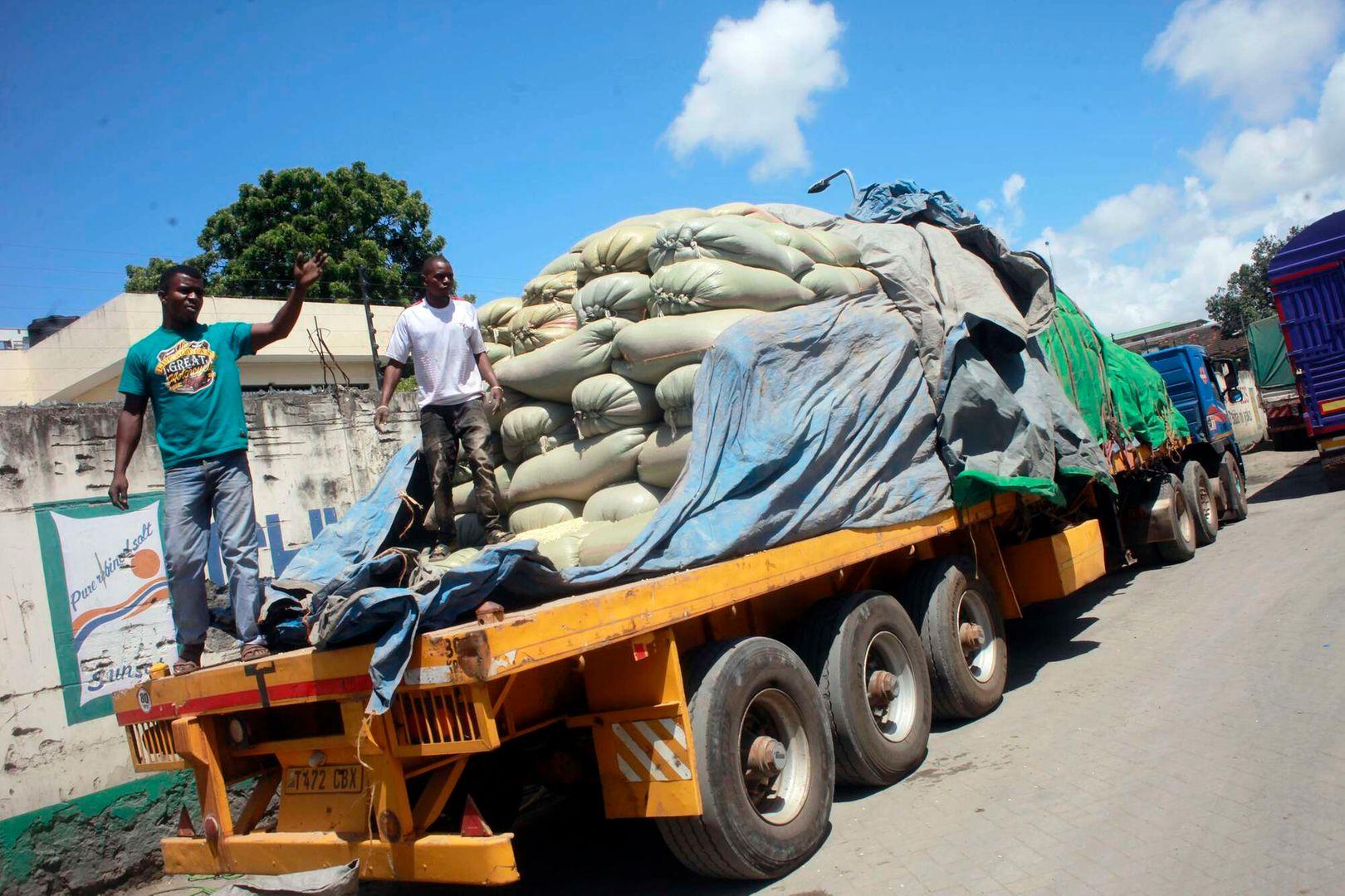 Sh26 Billion Maize Tender Raises Questions Over Kenya’s Food Security Deal