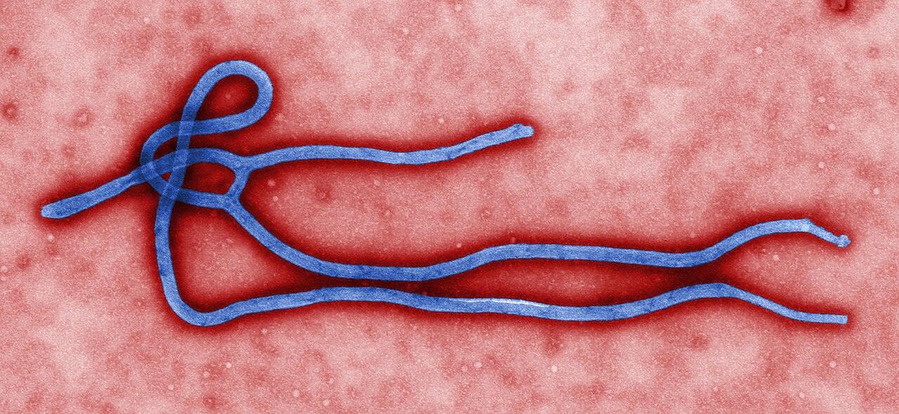 Ebola: what we know so far in Kenya