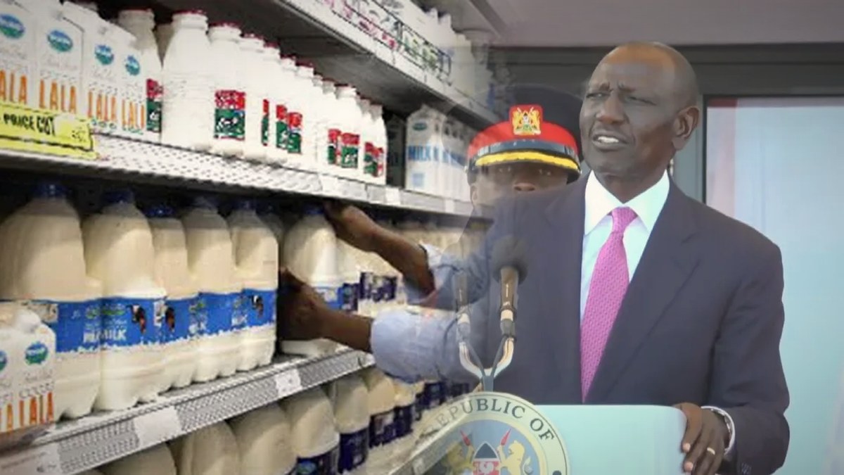 Dairy farmers to earn Sh65 a litre from October plus Sh2 quarterly bonus, Ruto says